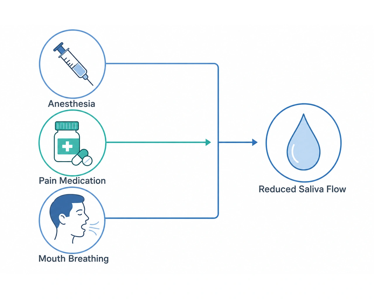 Anesthesia, pain medication, and mouth breathing each slow saliva flow during tooth extraction recovery.